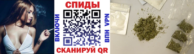 mega   Кудрово  Бутират бутандиол 