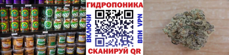KRAKEN рабочий сайт Кудрово Еда ТГК конопля даркнет сайт