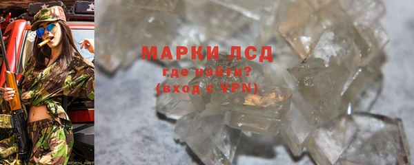 стаф Нефтегорск