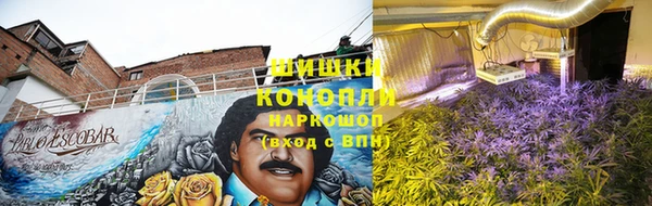 а пвп мука Нея