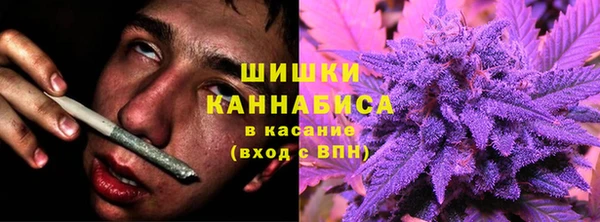 стаф Нефтегорск