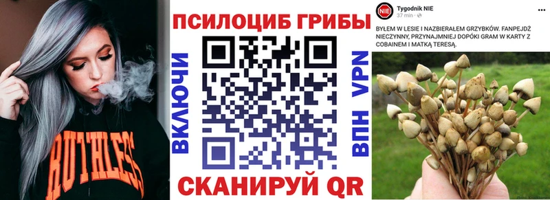 Псилоцибиновые грибы прущие грибы  Кудрово 
