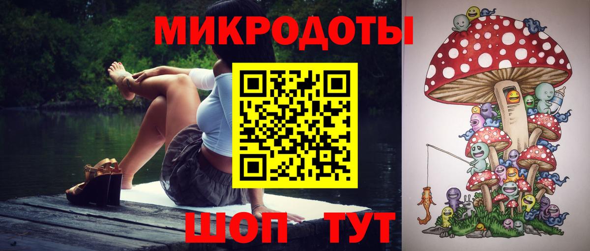 Кудрово  Галлюциногенные грибы прущие грибы  Вход с VPN 